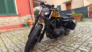Harley-Davidson 883 Iron (2014 - 16) - XL 883N  (3)