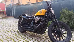 Harley-Davidson 883 Iron (2014 - 16) - XL 883N  (4)