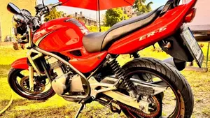 Kawasaki ER-5 500 (2001 - 06)  (3)