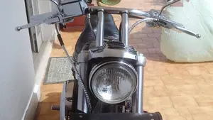 Harley-Davidson   (7)