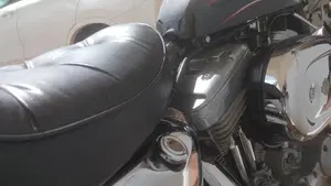 Harley-Davidson   (10)