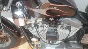 Harley-Davidson   (13)