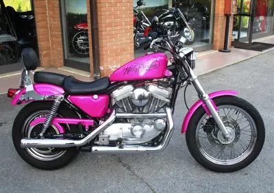 Harley-Davidson 883 Standard (2001 - 05) - XL 883 - Annuncio 9987524