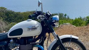 Triumph Bonneville T100 (2008 - 16)  (9)