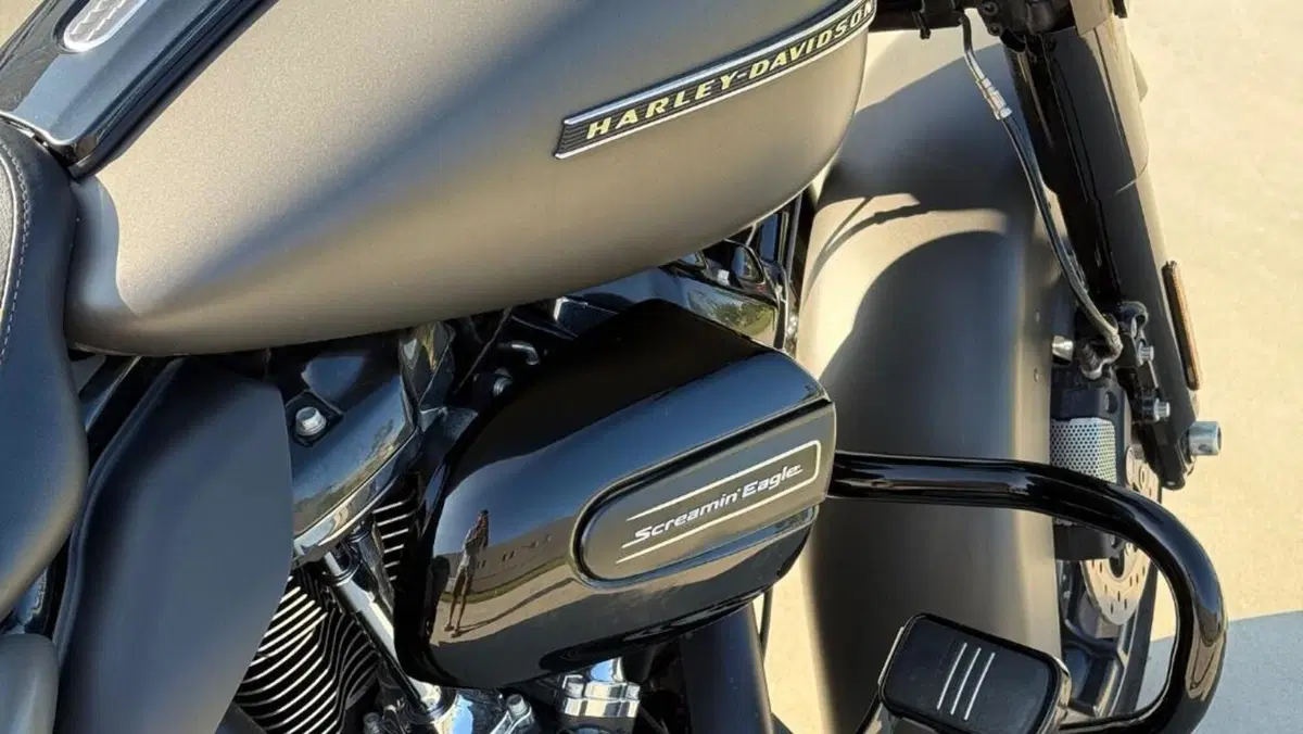Harley-Davidson 114 Street Glide Special (2019 - 20) - FLHXS  (10)