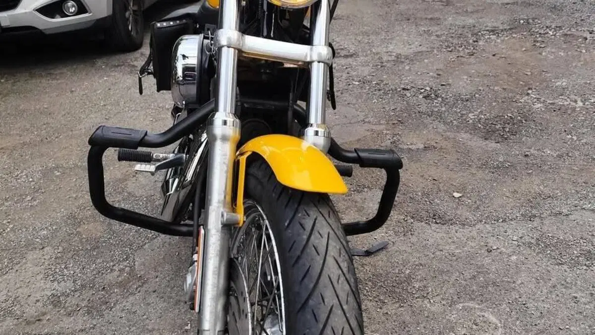 Harley-Davidson 1200 Roadster (2006 - 08) - XL 1200R  (3)