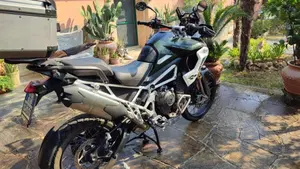 Triumph Tiger 1200 Rally Pro (2022 - 23)  (4)