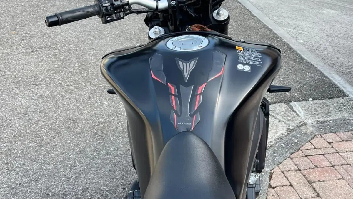 Yamaha MT-09 (2021 - 23) 