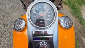 Harley-Davidson 1340 Heritage Classic (1984 - 98) - FLSTC  (10)