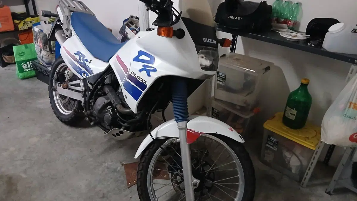 Suzuki DR 650 RS (1989 - 90)  (3)