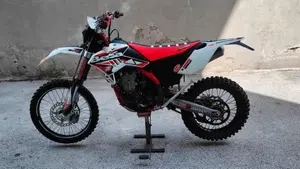 Betamotor RR 450 4T Enduro (2011) 
