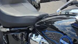 Harley-Davidson Low Rider ST (2025 - 26)  (14)