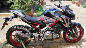 Kawasaki Z 900 Performance (2019) 