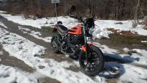 Ducati Scrambler 400 Sixty 2 (2016 - 21)  (5)