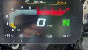 Bmw R 1250 GS Adventure (2019 - 20)  (6)