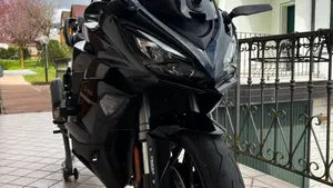 Kawasaki Ninja 1000 SX (2021 - 24)  (2)