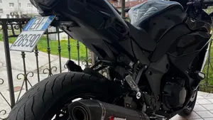Kawasaki Ninja 1000 SX (2021 - 24)  (4)
