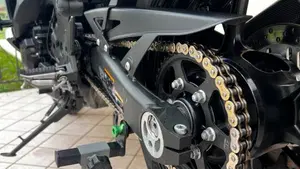 Kawasaki Ninja 1000 SX (2021 - 24)  (6)