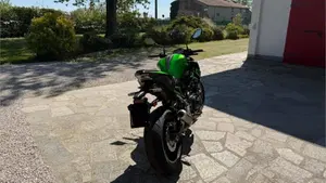 Kawasaki Z 900 (2021 - 24)  (2)