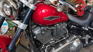 Harley-Davidson Sport Glide (2021 - 25)  (3)