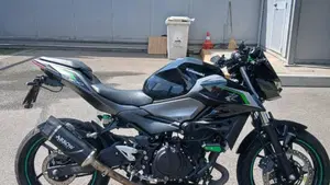 Kawasaki Z 500 (2024 - 26)  (2)