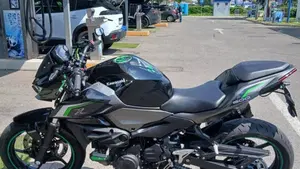 Kawasaki Z 500 (2024 - 26)  (4)