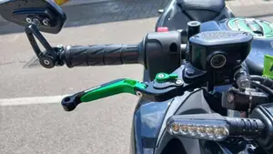 Kawasaki Z 500 (2024 - 26)  (10)