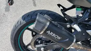 Kawasaki Z 500 (2024 - 26)  (11)