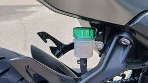 Kawasaki Z 500 (2024 - 26)  (12)