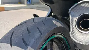 Kawasaki Z 500 (2024 - 26)  (14)