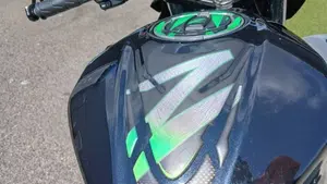 Kawasaki Z 500 (2024 - 26)  (15)