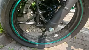 Kawasaki Z 500 (2024 - 26)  (16)