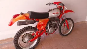Betamotor   (3)