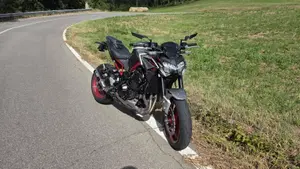 Kawasaki Z 900 (2021 - 24)  (3)