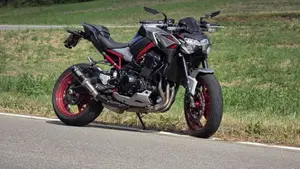 Kawasaki Z 900 (2021 - 24) 