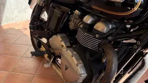 Triumph Bonneville T100 SE (2014)  (5)