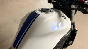 Suzuki SV 650 (2016 - 20)  (2)