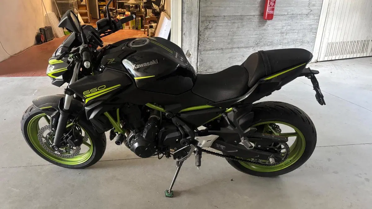 Kawasaki Z 650 (2021 - 24)  (4)