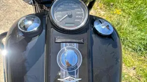 Harley-Davidson 114 Road King Special (2019 - 20) - FLHR  (8)