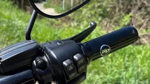 Harley-Davidson 114 Road King Special (2019 - 20) - FLHR  (13)