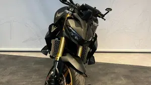 Honda CB 1000 Hornet SP (2025 - 26)  (3)
