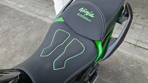 Kawasaki Ninja 1000 SX Tourer (2021 - 24)  (7)