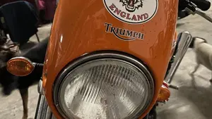 Triumph Thunderbird 900 Sport (2003 - 04)  (10)