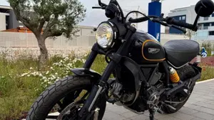 Ducati Scrambler 800 Icon (2015 - 16)  (11)