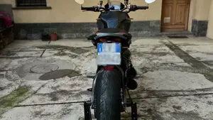 Ducati Monster 821 Stealth (2019 - 20)  (5)