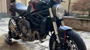 Ducati Monster 821 Stealth (2019 - 20)  (11)