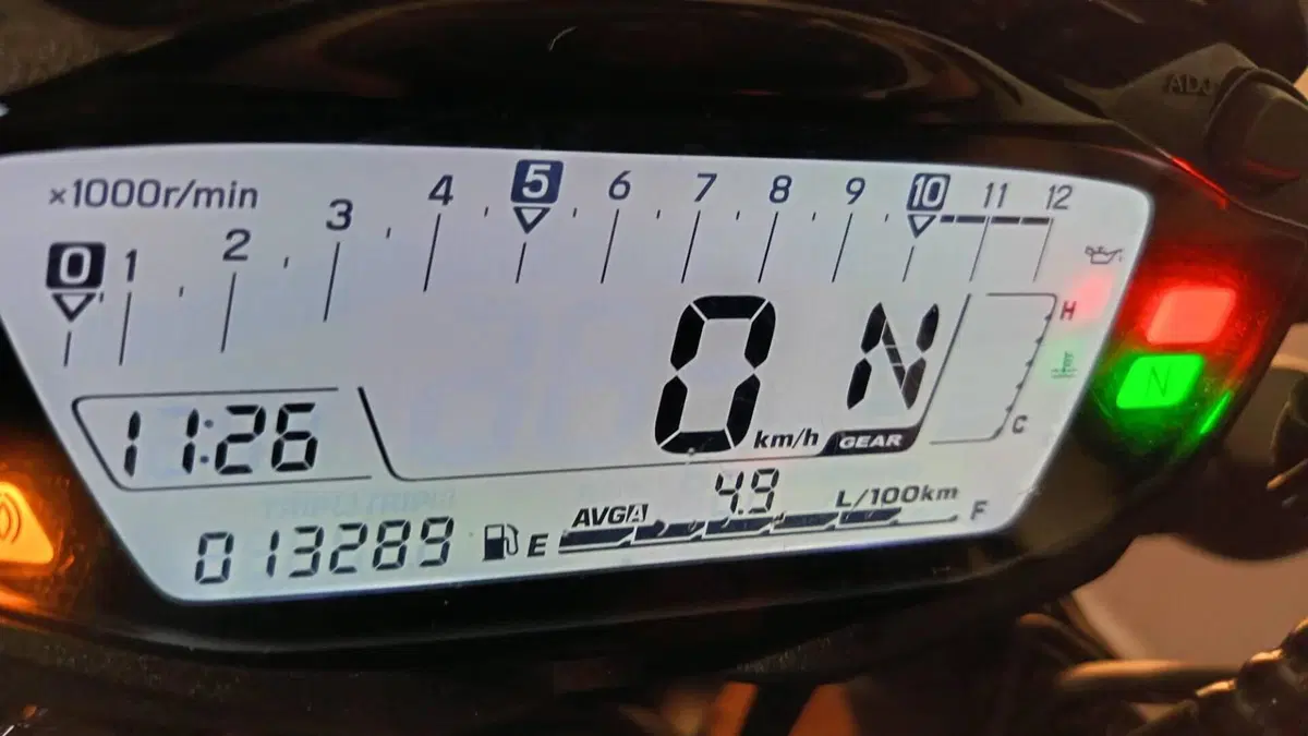 Suzuki SV 650 X (2018 - 20)  (4)