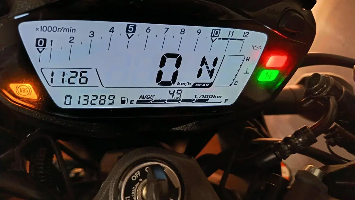 Suzuki SV 650 X (2018 - 20)  (5)