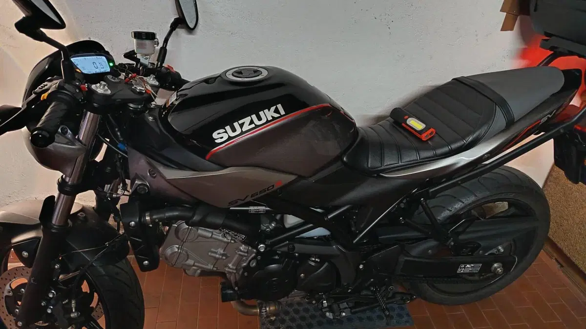 Suzuki SV 650 X (2018 - 20)  (6)
