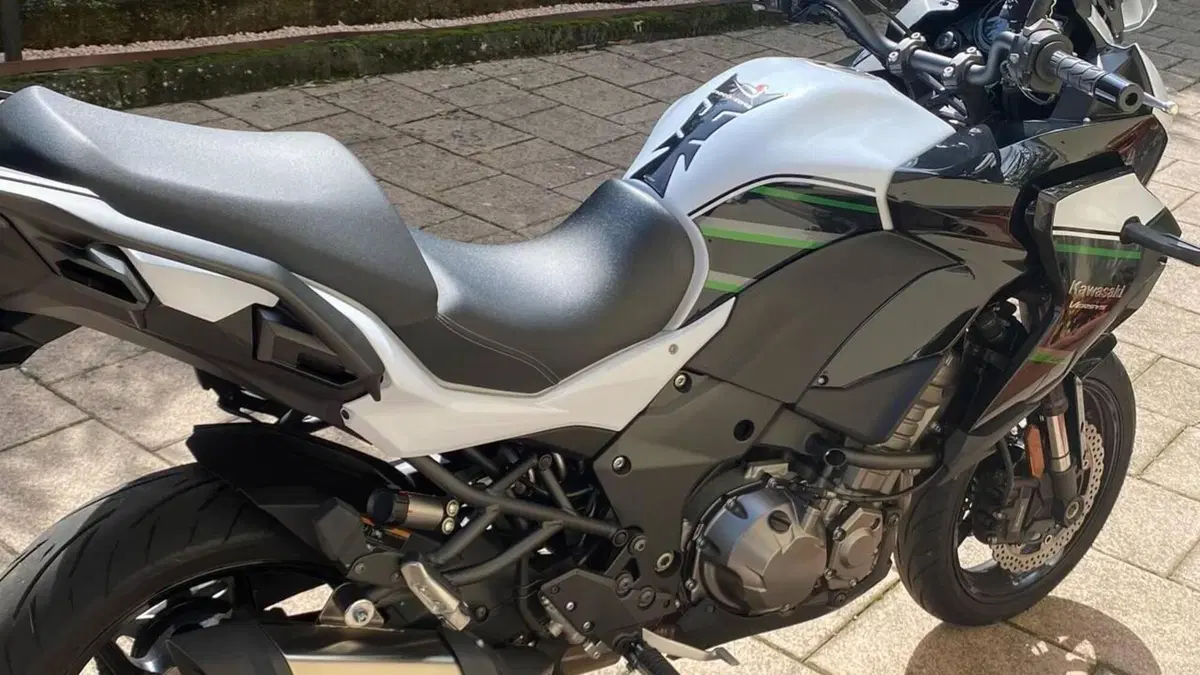 Kawasaki Versys 1000 (2019 - 20)  (10)